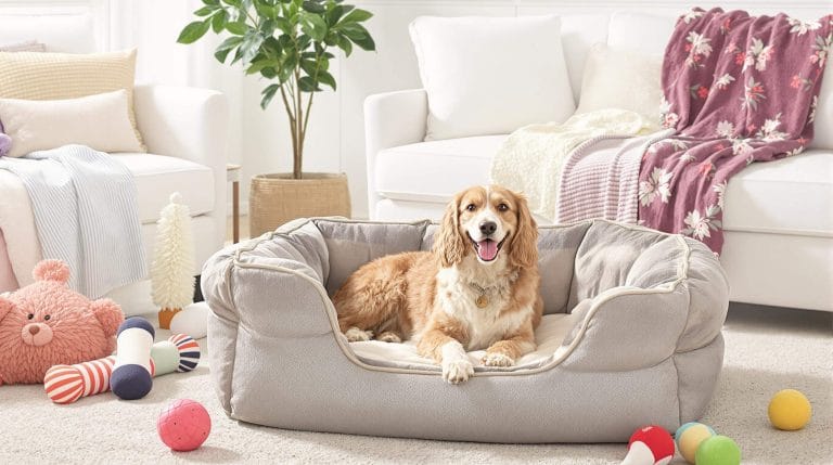 dog-confort.com​