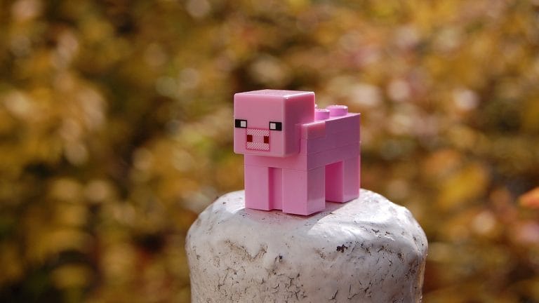Minecraft : Pourquoi ce jeu suscite-t-il un tel engouement ?